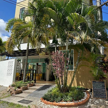 班罗莎酒店 邦涛海滩 外观 照片